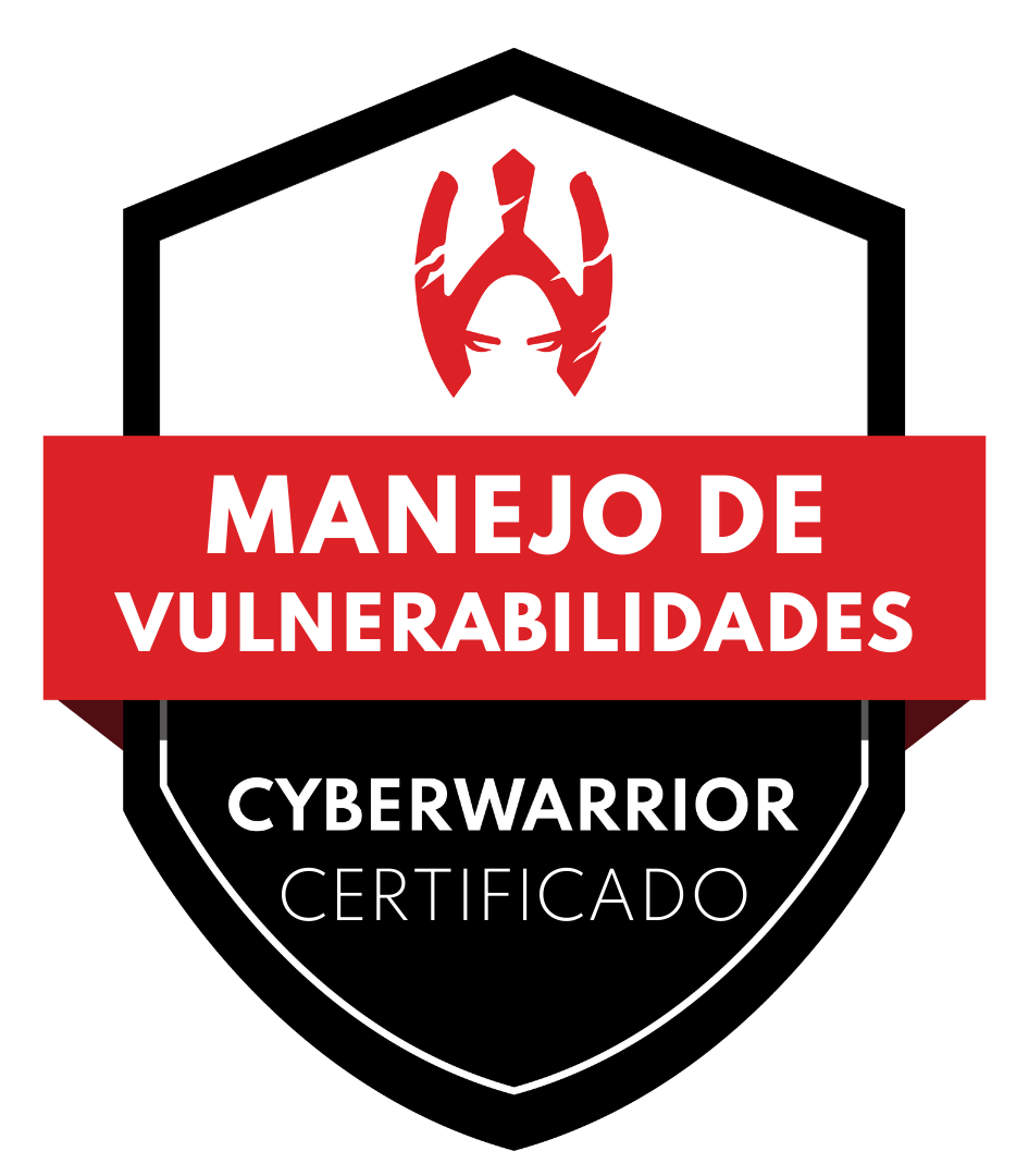 Fundamentos de la gestión de vulnerabilidades (SSVM101) SSVM101